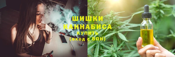 ECSTASY Абаза
