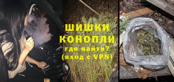шишки Алексеевка