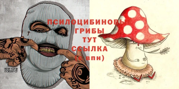 шишки Алексин
