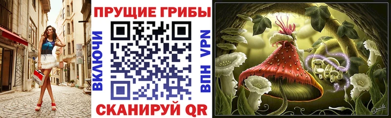 Галлюциногенные грибы ЛСД  как найти закладки  Староминская 